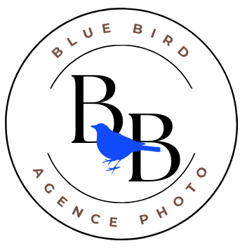 AGENCE BLUEBIRD